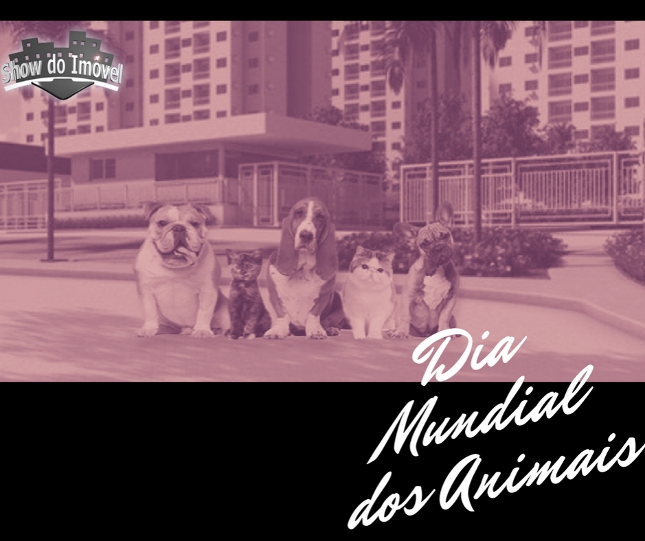 Dia Mundial dos Animais: quais os cuidados com os pets nos condomínios?